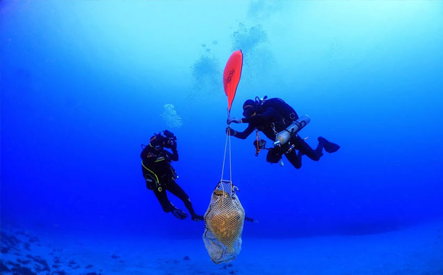 The Impact of Recreational Diving on Archaeological Preservation