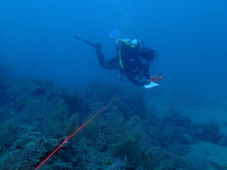 Unveiling Maritime History: Secrets from the Deep Sea